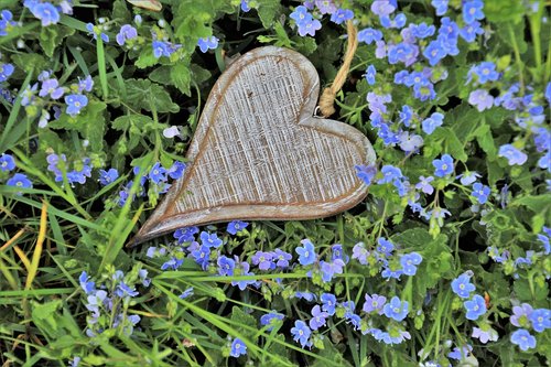 heart  wooden  little flowers