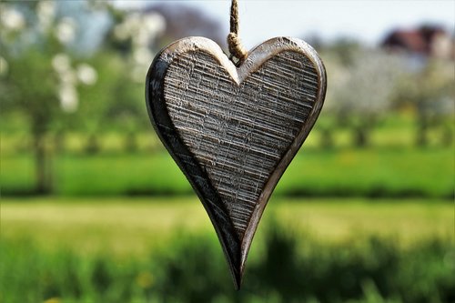 heart  wooden  spring