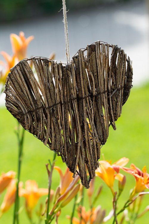 heart  wooden heart  willow heart