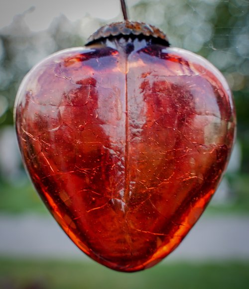 heart  red heart  glass heart