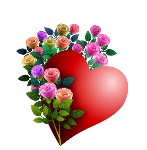 heart  roses  flowers