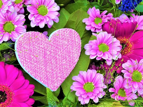 heart  flower  love