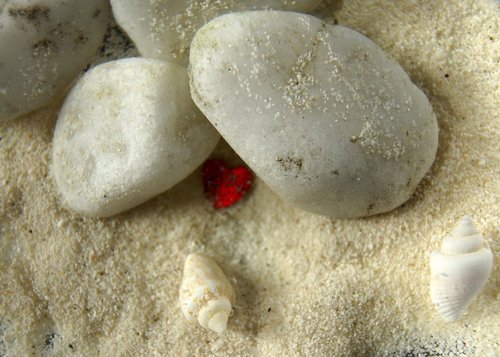 heart  stones  shell