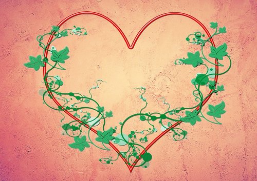 heart  ivy  love