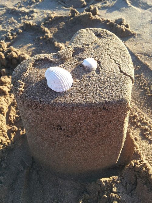 heart shell sand