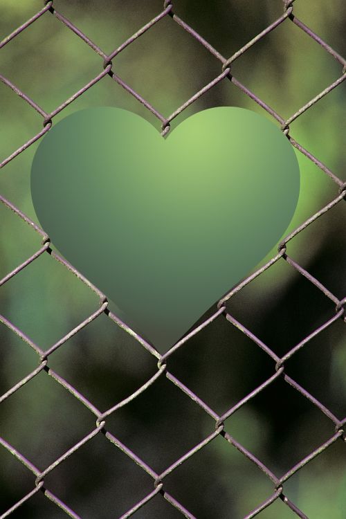 heart fence garden