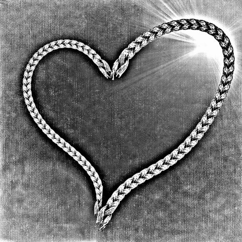 heart rope background