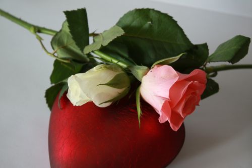 heart red rose
