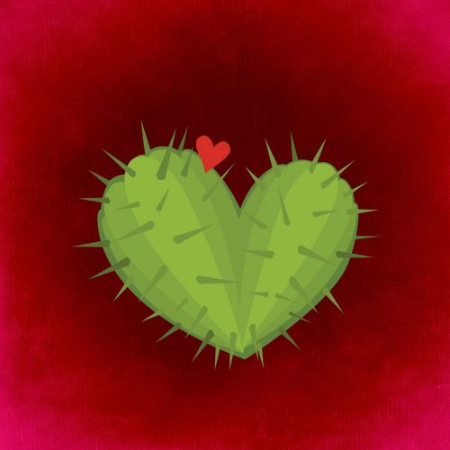 heart cactus love