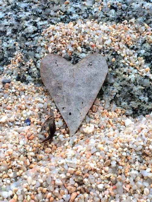 heart leaf stones