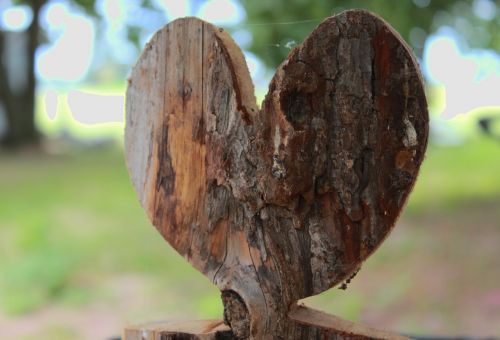 heart in the wood heart wood