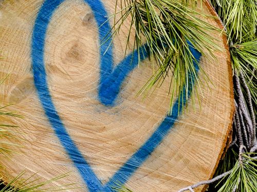 Heart On Trunk