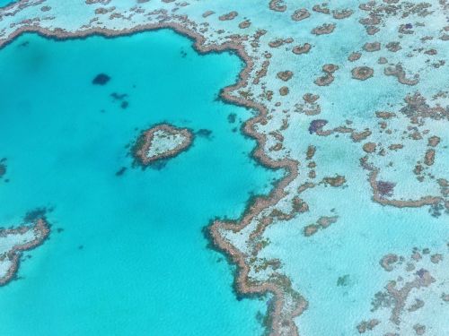 heart reef australia great barrier reef
