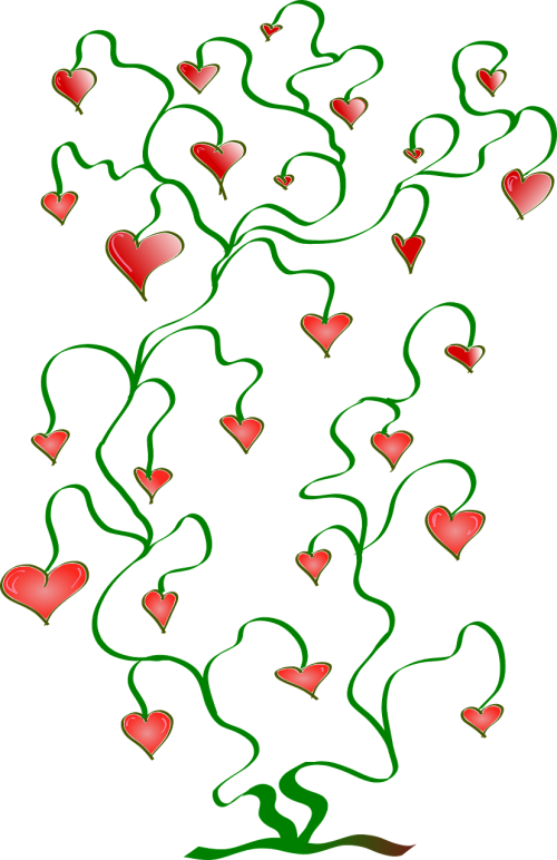 hearts love plant