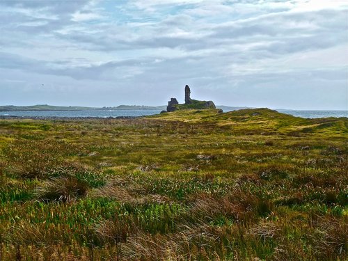 heather  ruins  moor