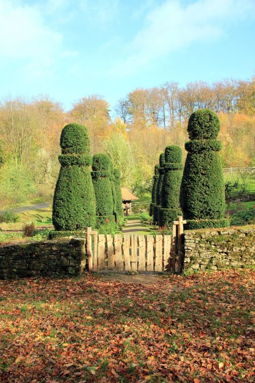 hedge garden goal