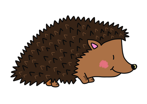 hedgehog  autumn  cute animals