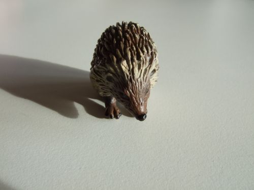 hedgehog animals nature