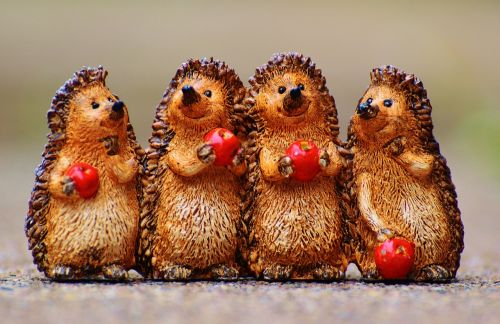 hedgehog figures funny
