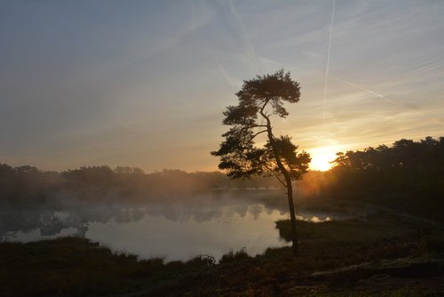 heide  sunrise  sun