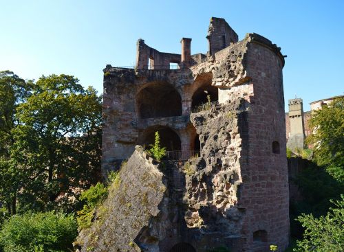 heidelberg castle heidelberger schloss