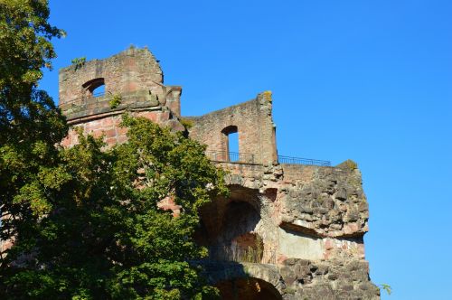 heidelberg castle heidelberger schloss