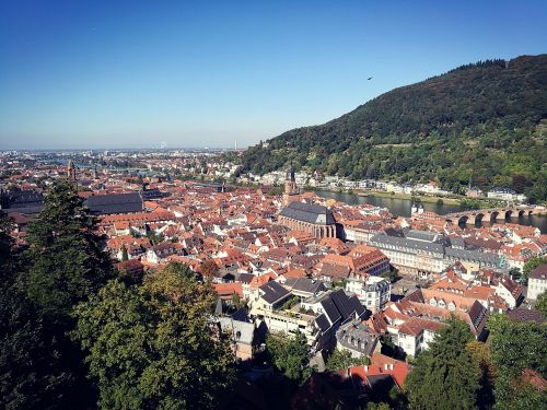 heidelberg neckar city