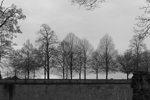 heidelberg  castle  wall