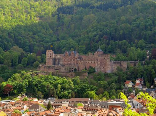 heidelberg heidelberger schloss neckar