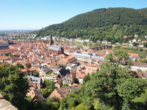 heidelberg neckar panorama