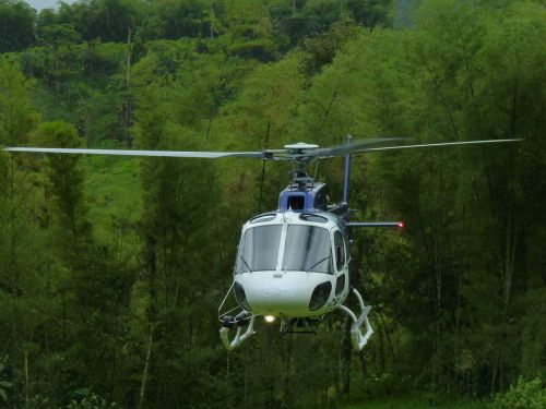 helicopter flight jungle