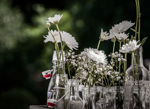 hello flowers decoration