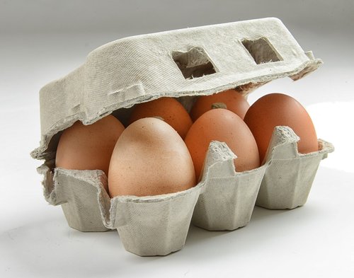 hen's egg  organic egg  egg