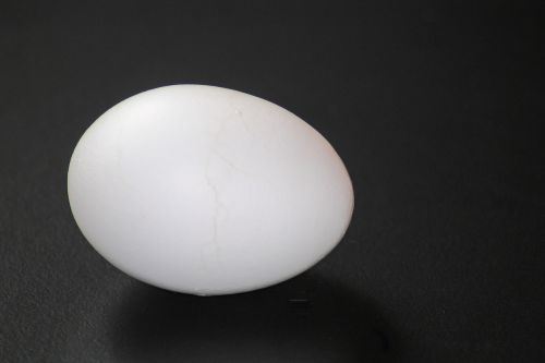 hen's egg boiled egg egg