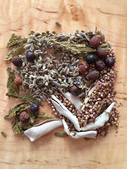 herb herbal natural