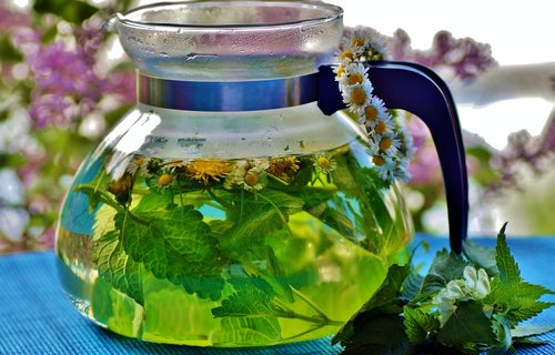 herbal  tea  the infusion