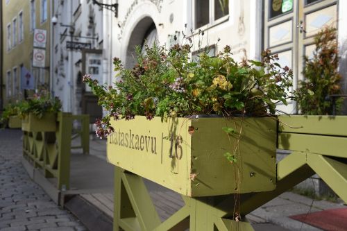 herbs box cobbles