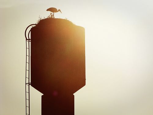 heron water tower