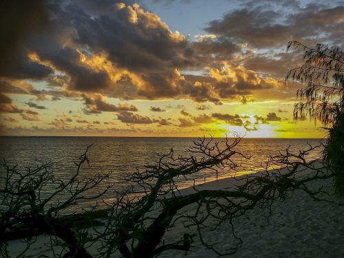 heron island australia tropical