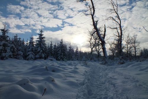 hertogenwald snow sun