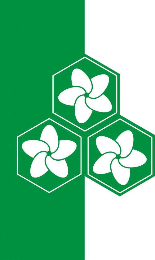 hexagons flower green