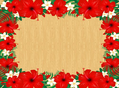 hibiscus and wood scrapbook papers  hibiscus  wood