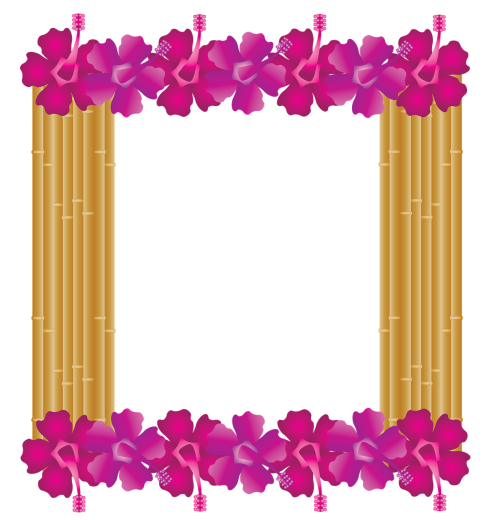 hibiscus frame bamboo frame hawaiian