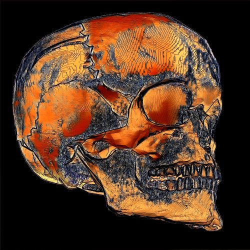 hidden skull orange