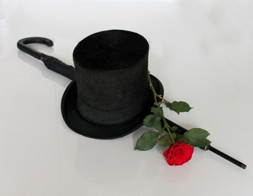 high hat rose red rose