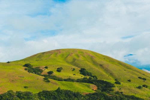 highland grassland green