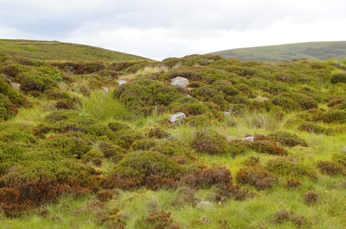 highlands and islands  hill  landscape