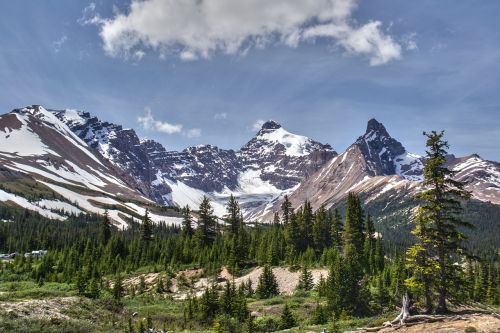 highway mountain trees