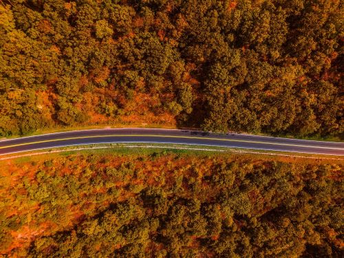 highway aerial autumn