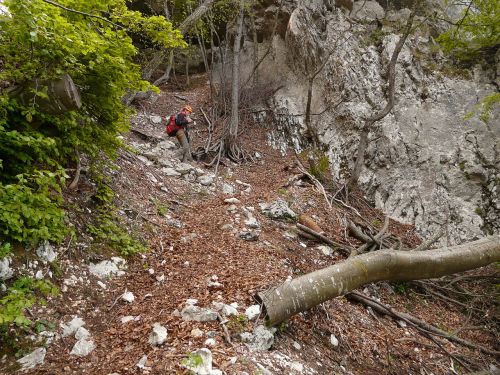 hike trail climber